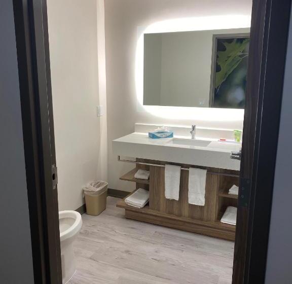 Deluxe-huone King-vuode, Wyndham Garden Orlando Airport   Free Airport Shuttle
