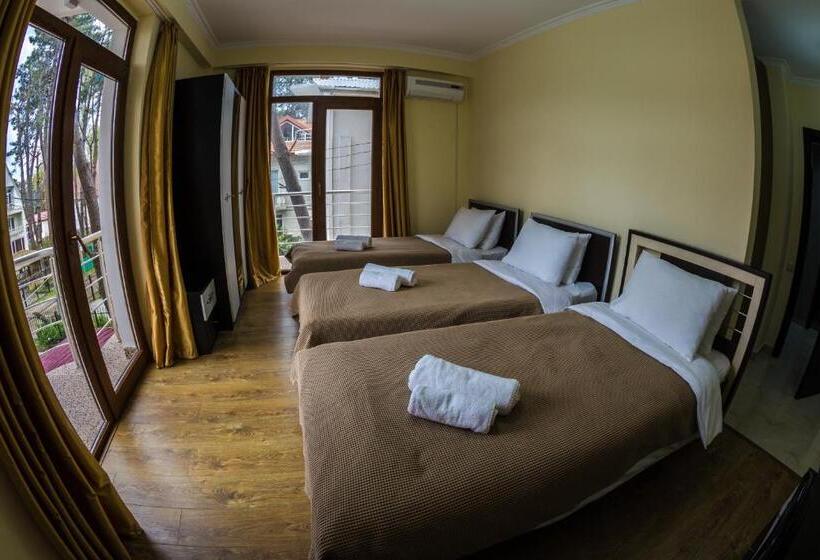 Quarto Estandar, Guria Palace