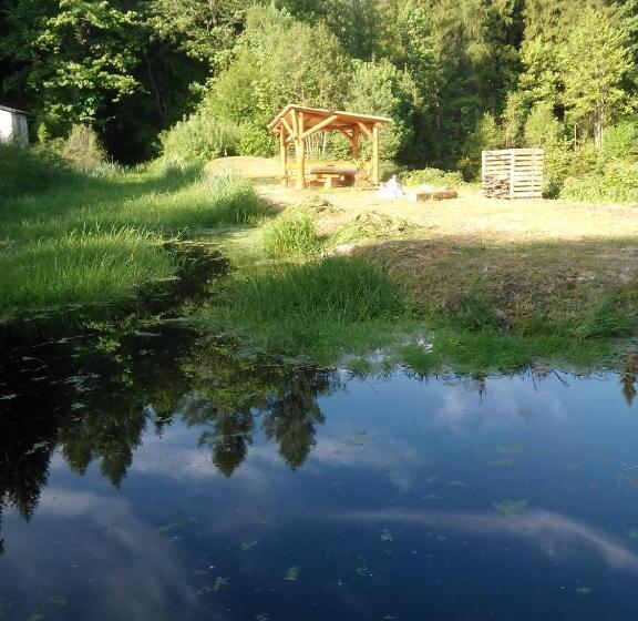 Апартаменты 1 Спальня, Die Oberlochmühle Pension