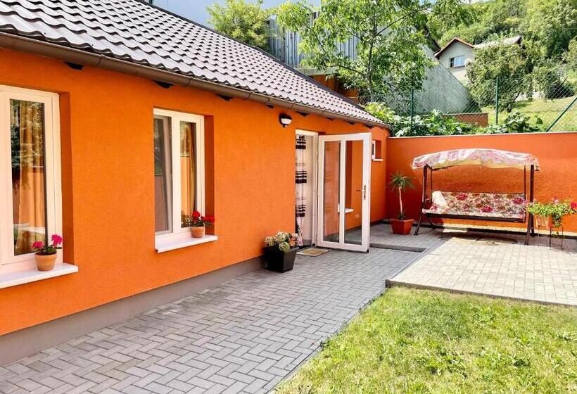 Апартаменты 1 Спальня с Террасой, Penzion Villa Amélie