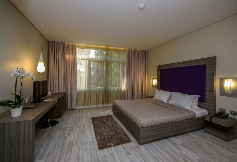 디럭스 룸, Sky Hotel Tirana