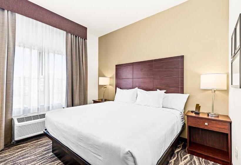 Студио Стандарт Кровать Кинг, Cobblestone Hotel & Suites   Superior Duluth