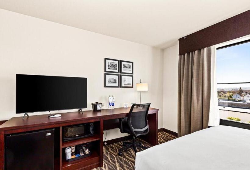 Номер Стандарт, Cobblestone Hotel & Suites   Superior Duluth