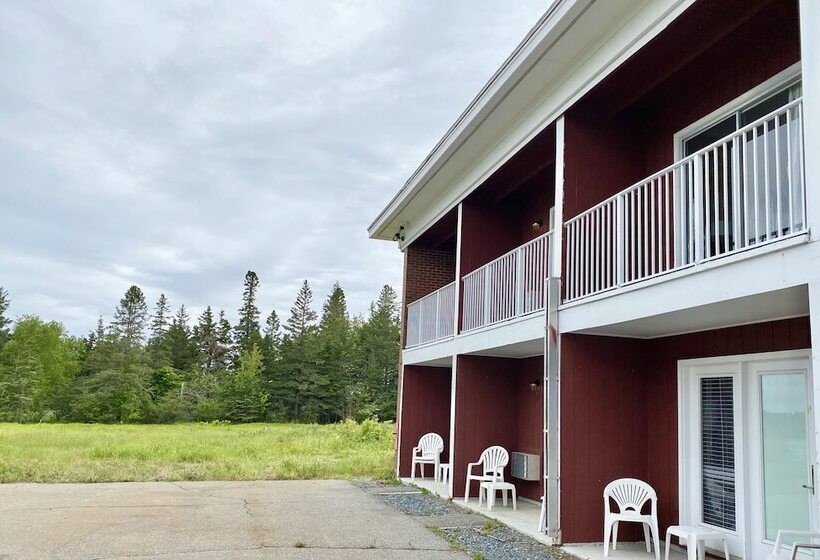 Номер Стандарт 2 Двуспальные Кровати, Island View Hotel Bar Harbor