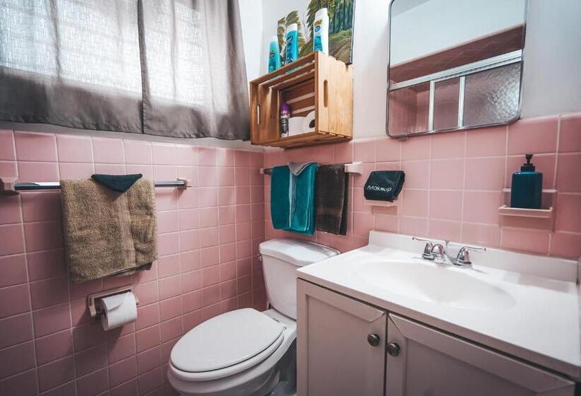 Quarto Economy, Hollywood Light Haven Lodge