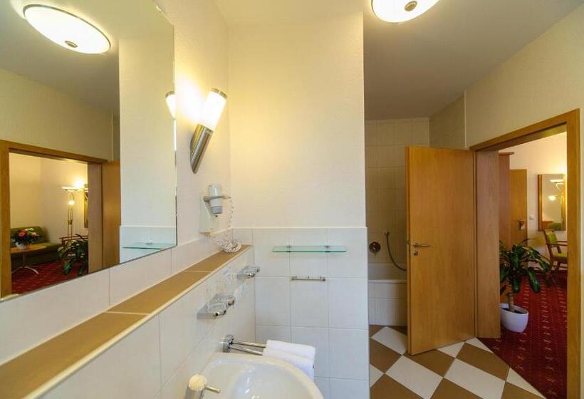 舒适型房间, Akzent Hotel Goldner Stern