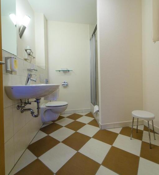 豪华单人间, Akzent Hotel Goldner Stern