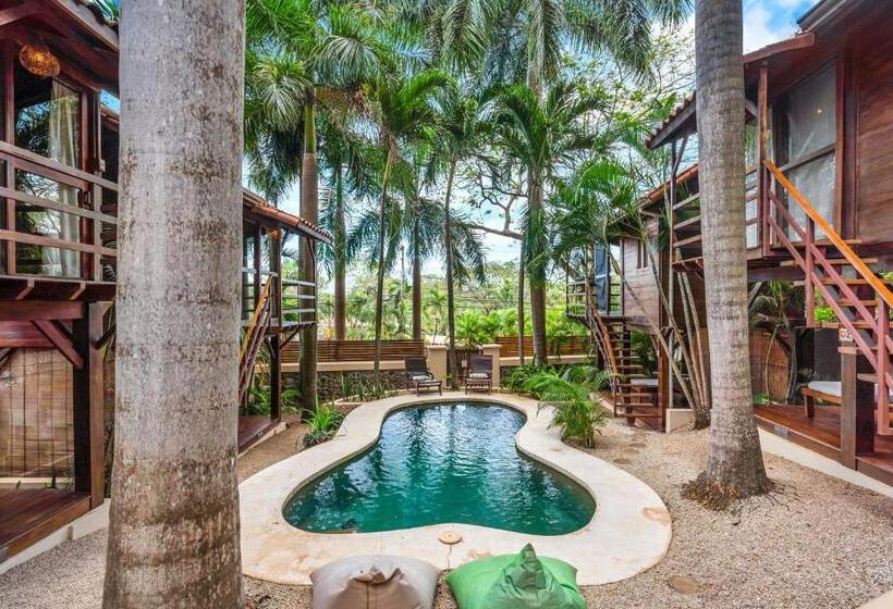 스탠다드 방갈로, The Beach Bungalows   Yoga And Surf House   Adults Only