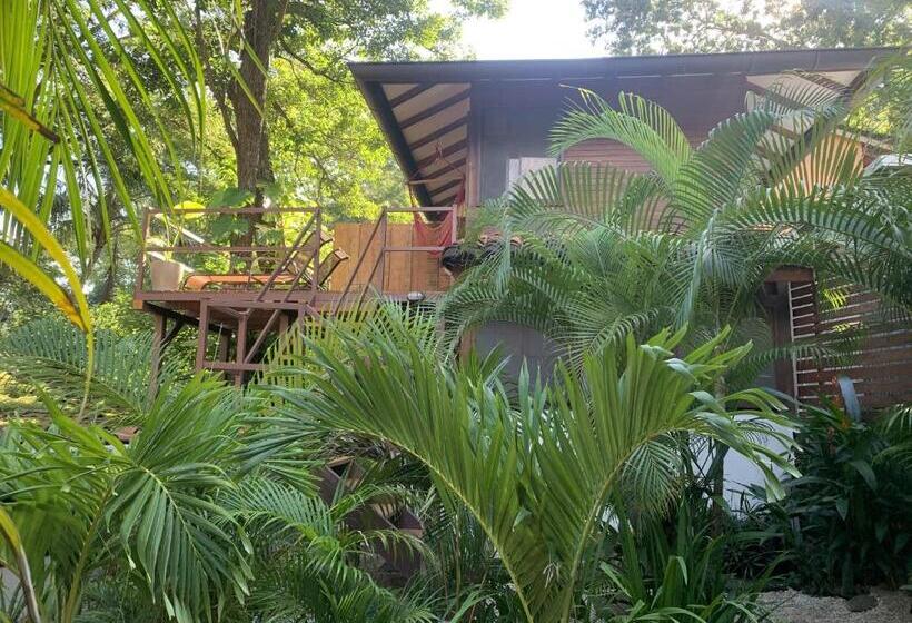 디럭스 방갈로, The Beach Bungalows   Yoga And Surf House   Adults Only