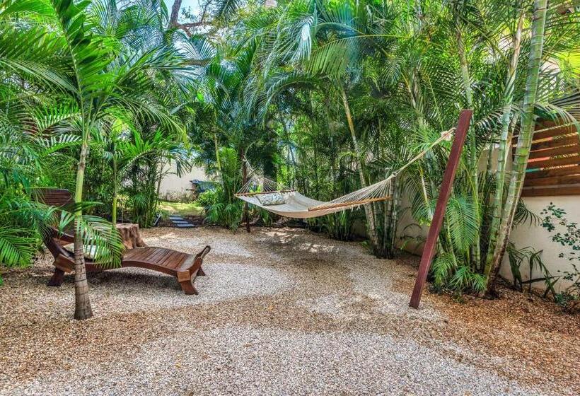 싱글 기본룸, The Beach Bungalows   Yoga And Surf House   Adults Only