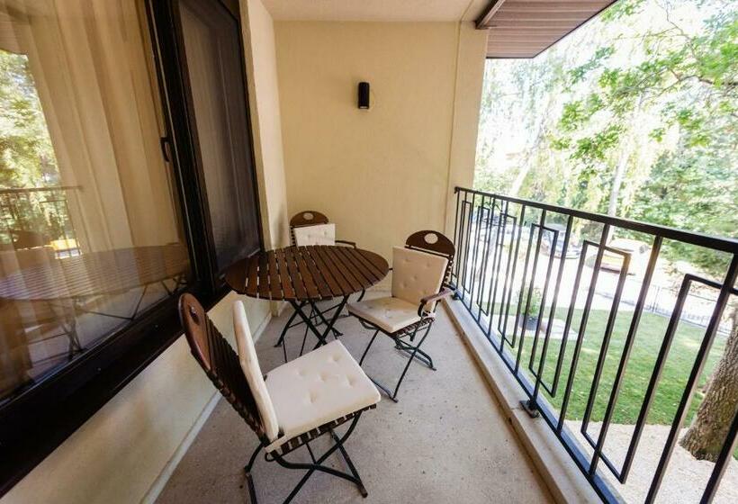 דירת חדר, Vila 6 Neptun Olimp