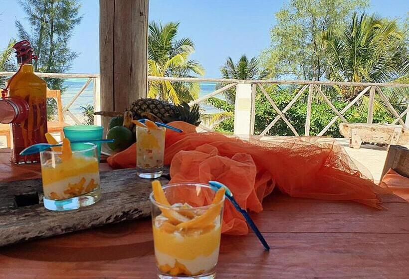 اتاق استاندارد, Ayla Beach House