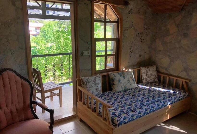 اتاق کلاسیک, Olympos Koyevi Countryhouse