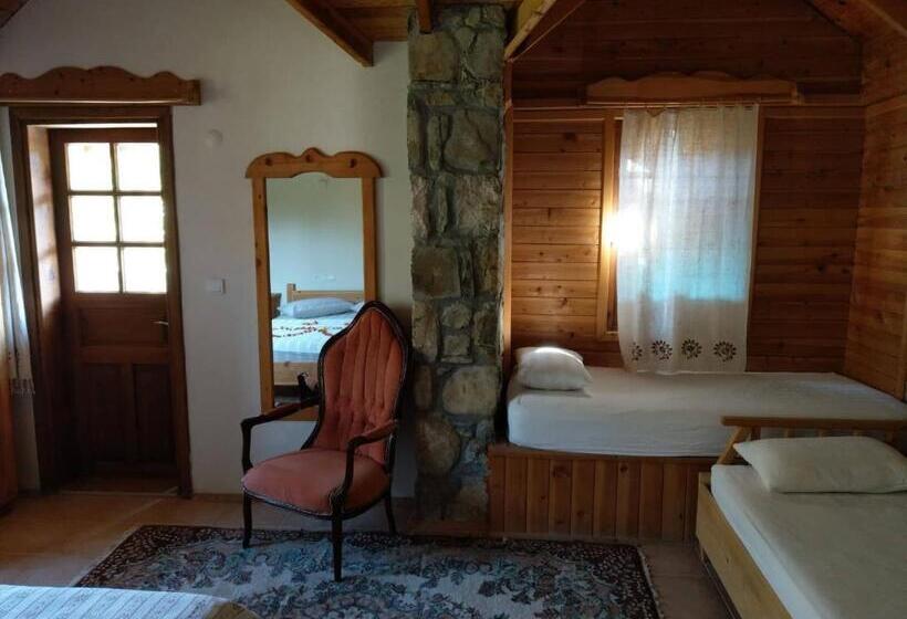 اتاق کلاسیک, Olympos Koyevi Countryhouse