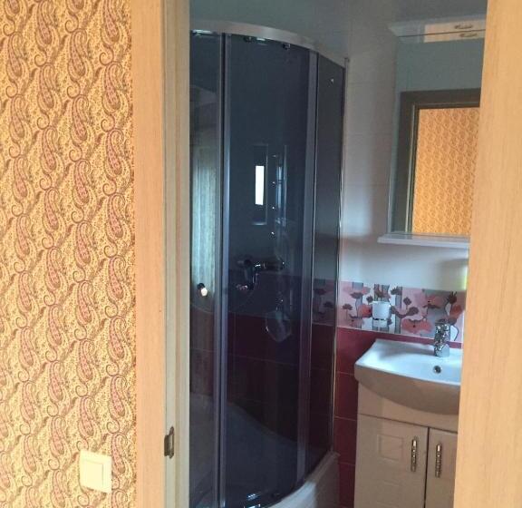 디럭스 룸, Minihotel Zolotoe Runo