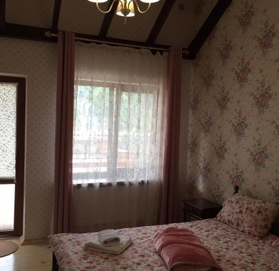 디럭스 룸, Minihotel Zolotoe Runo
