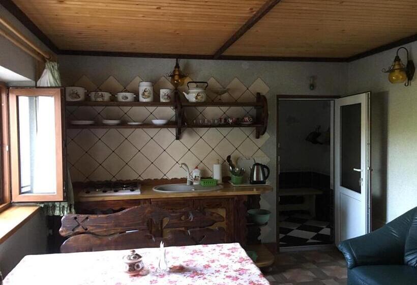 Семейный Номер, коттедж Leleka Vyzhnynsia