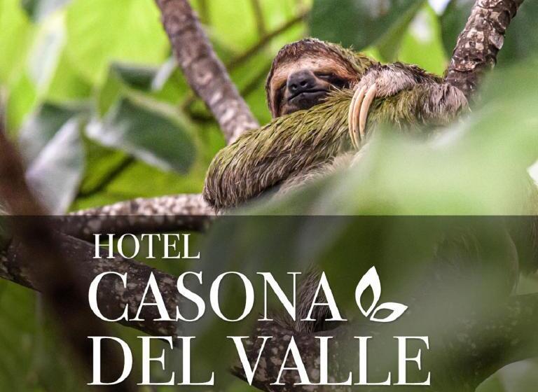 标准三人间, Casona Del Valle