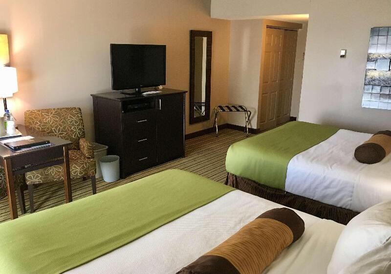 Номер Стандарт, Bed Nbudget Expo Hostel Rooms