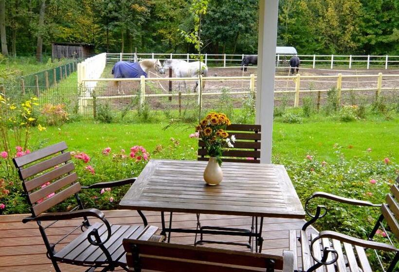 Дом 2 Спальни, Gut Klostermuhle Natur Resort & Medical Spa