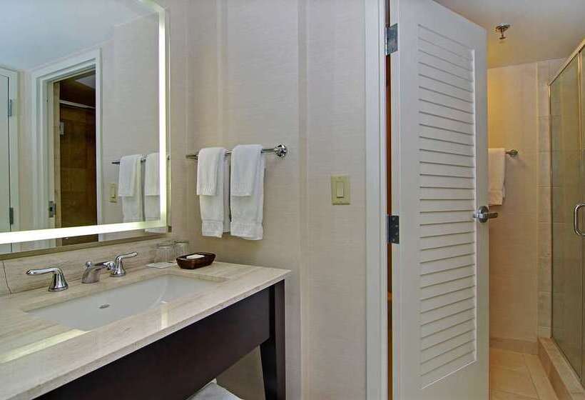 스탠다드 룸, Hilton Baltimore Bwi Airport
