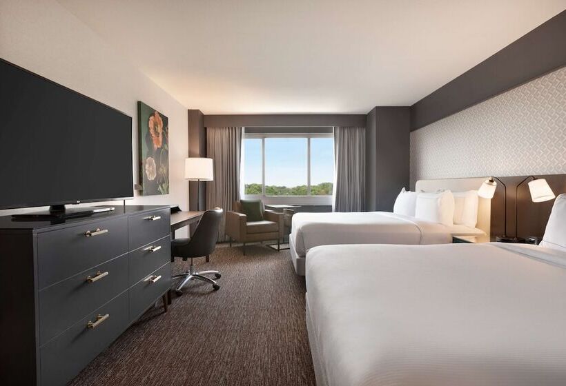 이그제큐티브 룸, Hilton Baltimore Bwi Airport