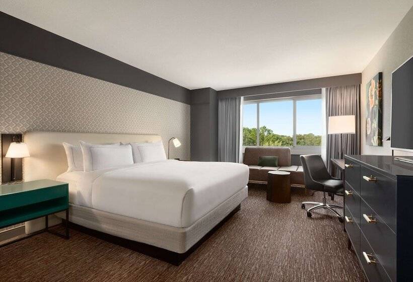 장애인을 위한 스탠다드 룸, Hilton Baltimore Bwi Airport
