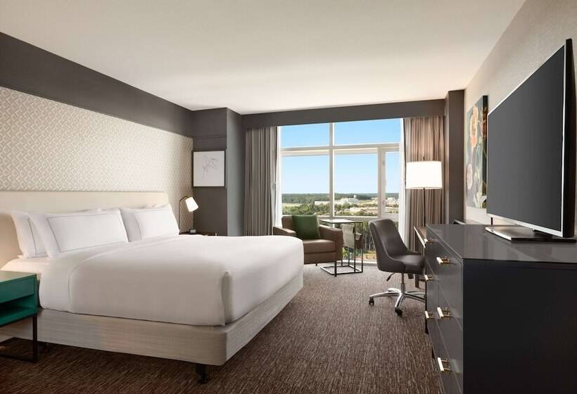 장애인을 위한 스탠다드 룸, Hilton Baltimore Bwi Airport