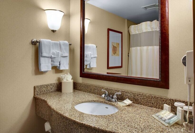 Номер Стандарт Адаптированный для Инвалидов, Hilton Garden Inn Akron Canton Airport