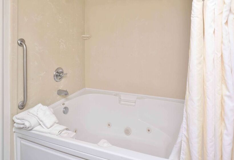 Номер Стандарт Двуспальная Кровать, Hilton Garden Inn Indianapolis/carmel