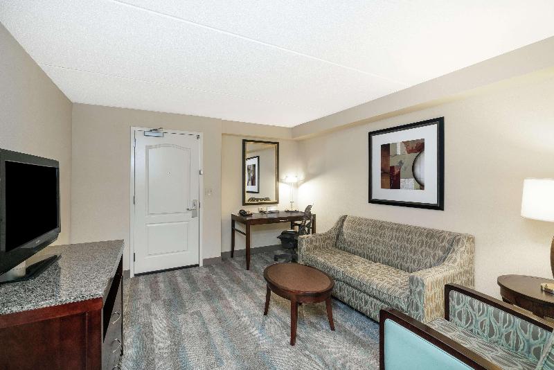 带大床的套房, Hilton Garden Inn Richmond Airport