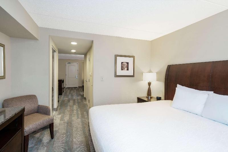 带大床的套房, Hilton Garden Inn Richmond Airport