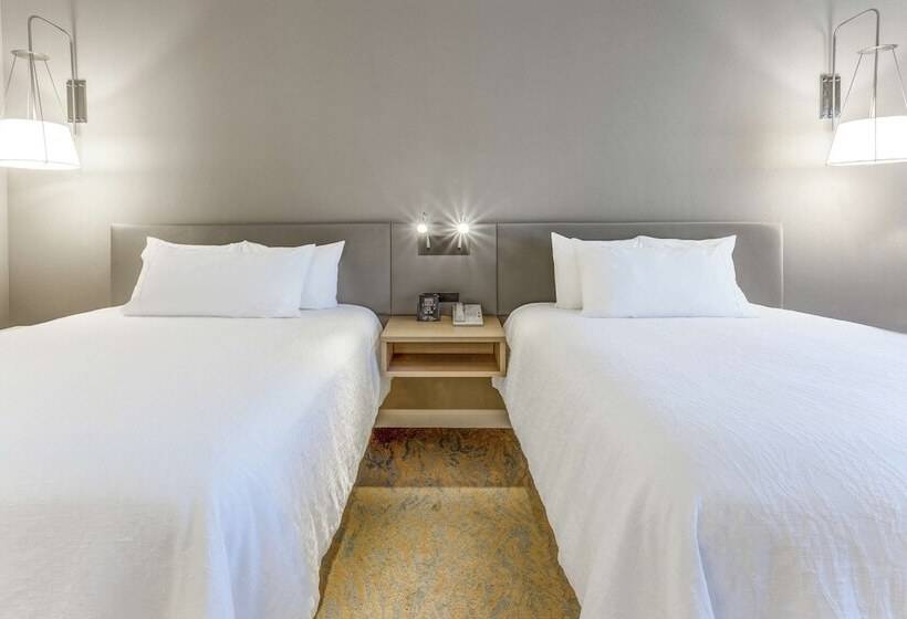 스탠다드 룸 더블 침대 2개, Hilton Garden Inn St Charles