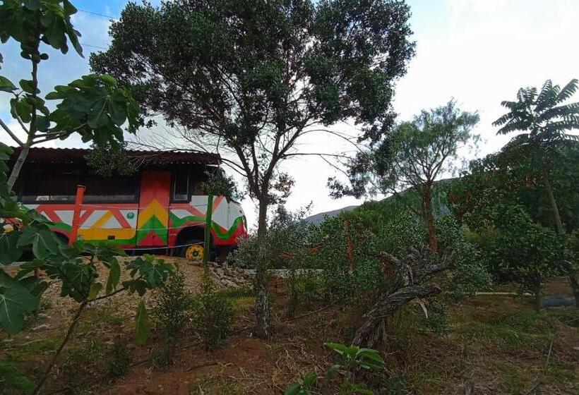 Семейный Номер, Los Nopales Glamping