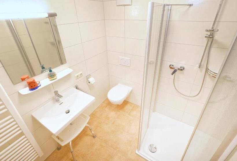 Апартаменты 1 Спальня с Видом, Gästehaus Koyerbauer Boardinghouse