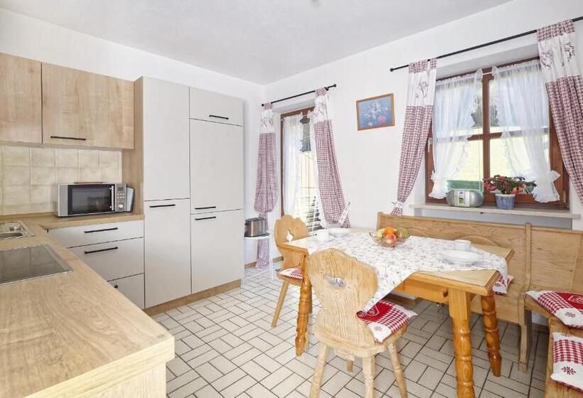 Апартаменты 1 Спальня с Видом, Gästehaus Koyerbauer Boardinghouse