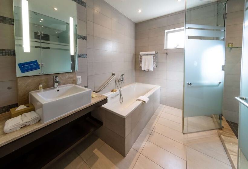 Номер Deluxe, Doubletree By Hilton Cape Town Upper Eastside
