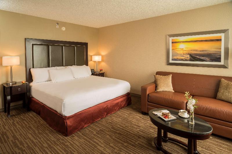 스탠다드 룸 킹사이즈 침대, Doubletree Raleigh Durham Airport At Research Triangle Park