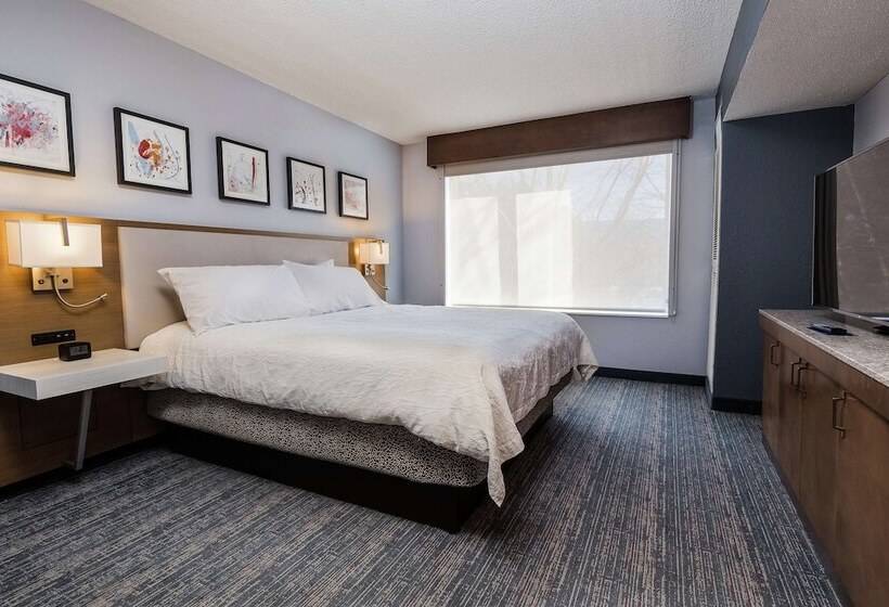 小型套房, Hilton Garden Inn Atlanta Northpoint