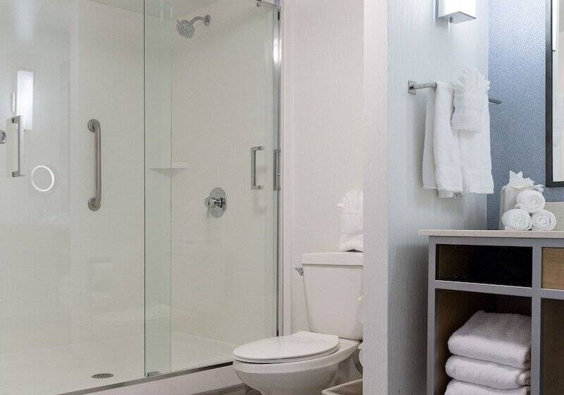 小型套房, Hilton Garden Inn Atlanta Northpoint