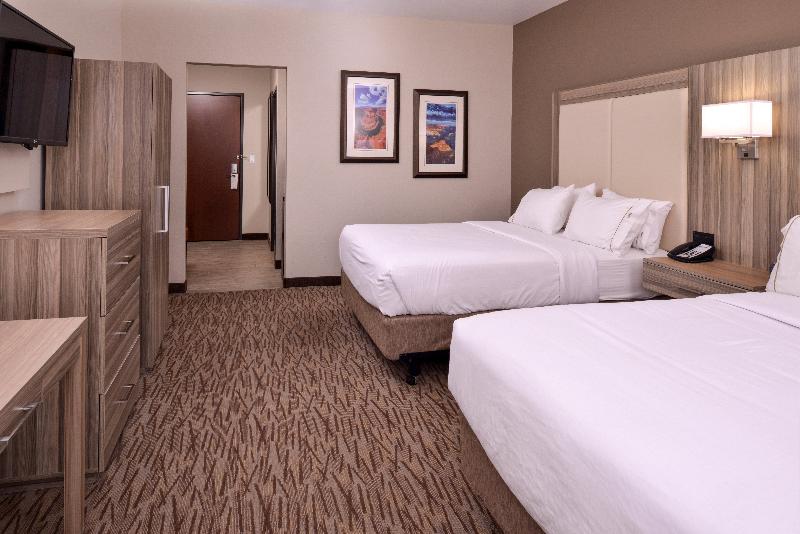 Номер Премиум, Hilton Garden Inn Des Moines/urbandale