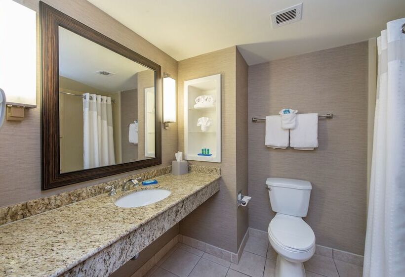 Люкс, Holiday Inn Express Hotel & Suites Auburn, An Ihg