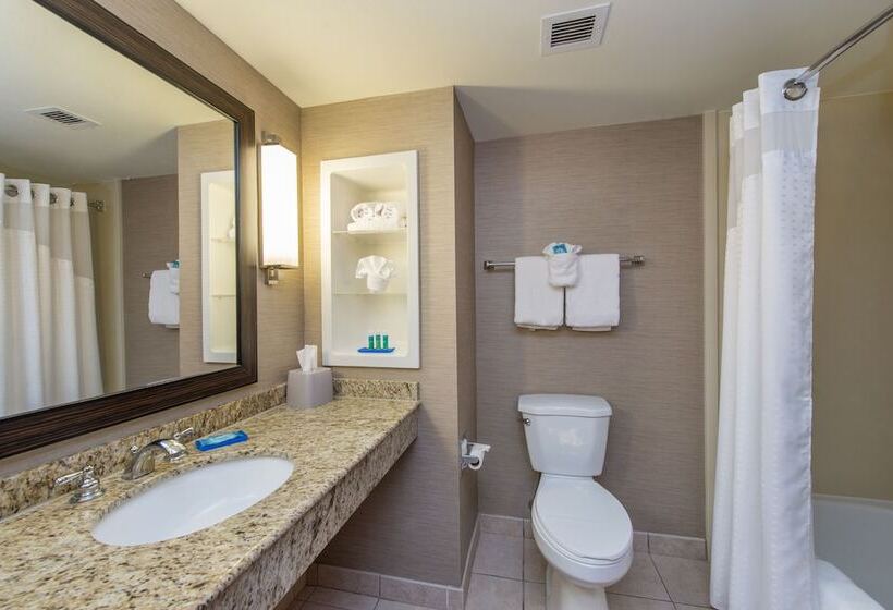 Номер Стандарт, Holiday Inn Express Hotel & Suites Auburn, An Ihg