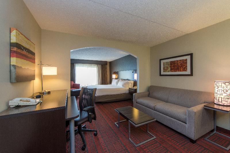 Люкс Кровать Кинг, Holiday Inn Express Hotel & Suites Auburn, An Ihg