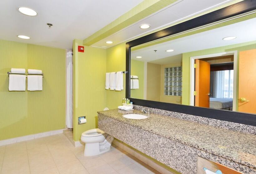 스위트, Holiday Inn Express Boone, An Ihg