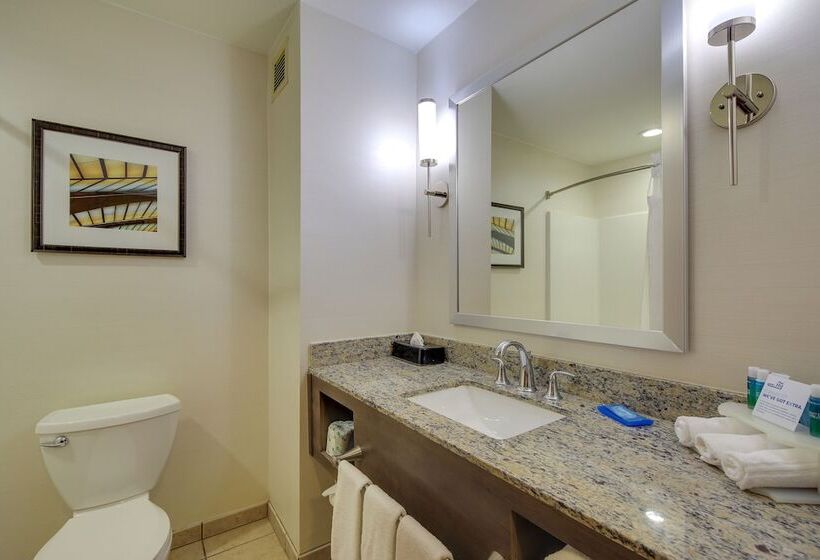 Люкс, Holiday Inn Express & Suites Sylva / Dillsboro, An Ihg