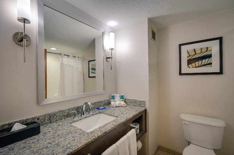 Стандартный Номер Кровать Кинг, Holiday Inn Express & Suites Sylva / Dillsboro, An Ihg