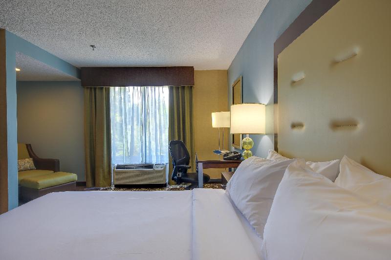 Стандартный Номер Кровать Кинг, Holiday Inn Express & Suites Sylva / Dillsboro, An Ihg