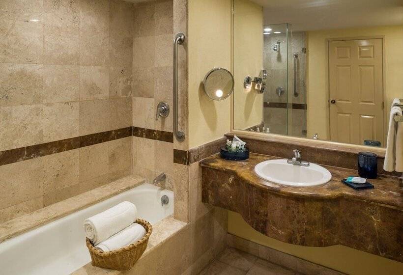 سوئیت با تخت بزرگ, Camino Real Puebla Angelopolis
