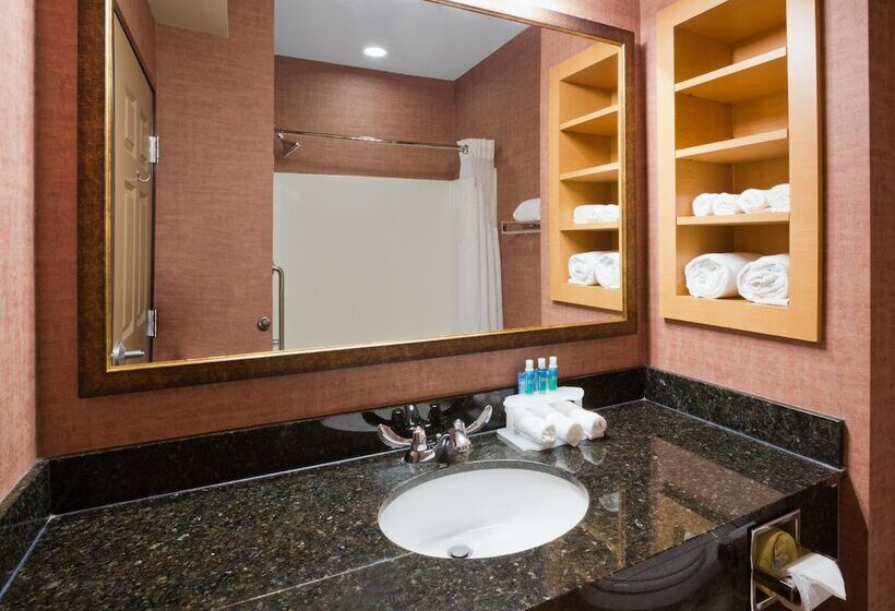 스위트, Holiday Inn Express Hotel & Suites Brainerd Baxter, An Ihg